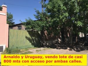 Lote de 781 m2 Arnaldo 555 con salida por Uruguay