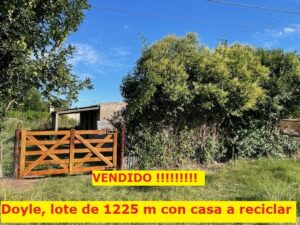 Casa a reciclar con 2 lotes total 1225 m2 en Doyle VENDIDO !!!!!!
