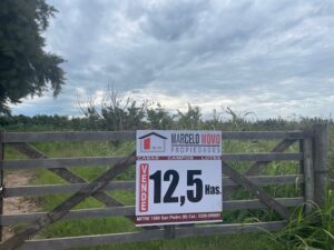 Campo de 12,5 hectáreas con arboleda y luz u$s 125.000