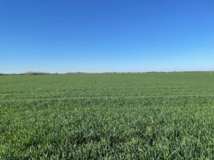 Campo de 4,5 hectáreas de muy fácil acceso u$s 85.000.-