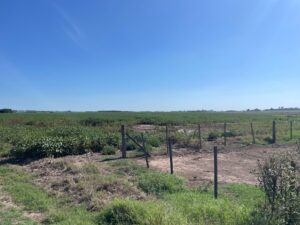 47 has agrícolas excelente ubicación u$s10.000
