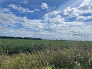 Vendo campo de 16 has agrícolas s/camino real u$s 192.000
