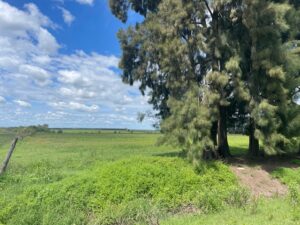 Campo de 15 has agrícolas, acceso asfaltado u$s 120.000.-