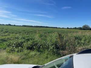 Campo de 50 has agrícolas excelente ubicación u$s 10.000