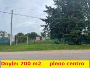 Lote en Doyle de 700 m2 s/asfalto.