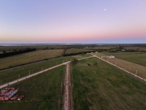 Lote de 1.000 mts en venta camino a Vta de Obligado.